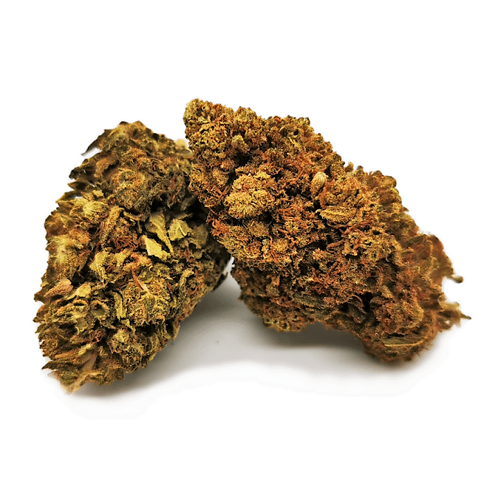 New York Cookie Ext small bud 10g