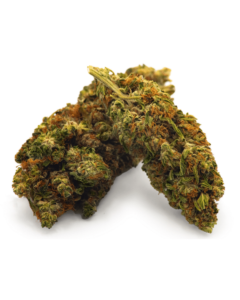 Jack Herer ext small bud 10g