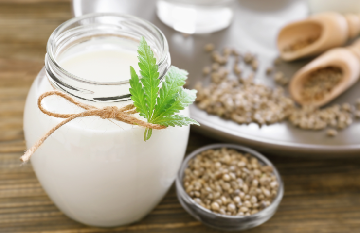 Guide complet sur le lait de chanvre : Bienfaits et recette maison