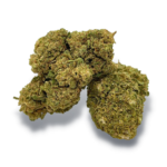 JH small bud 10g