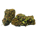 Tangerine small bud 10g