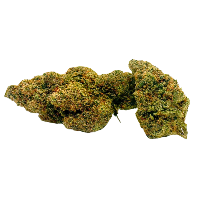 Plutonium small bud 10g