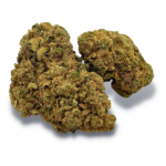 Strawberry small bud 10g