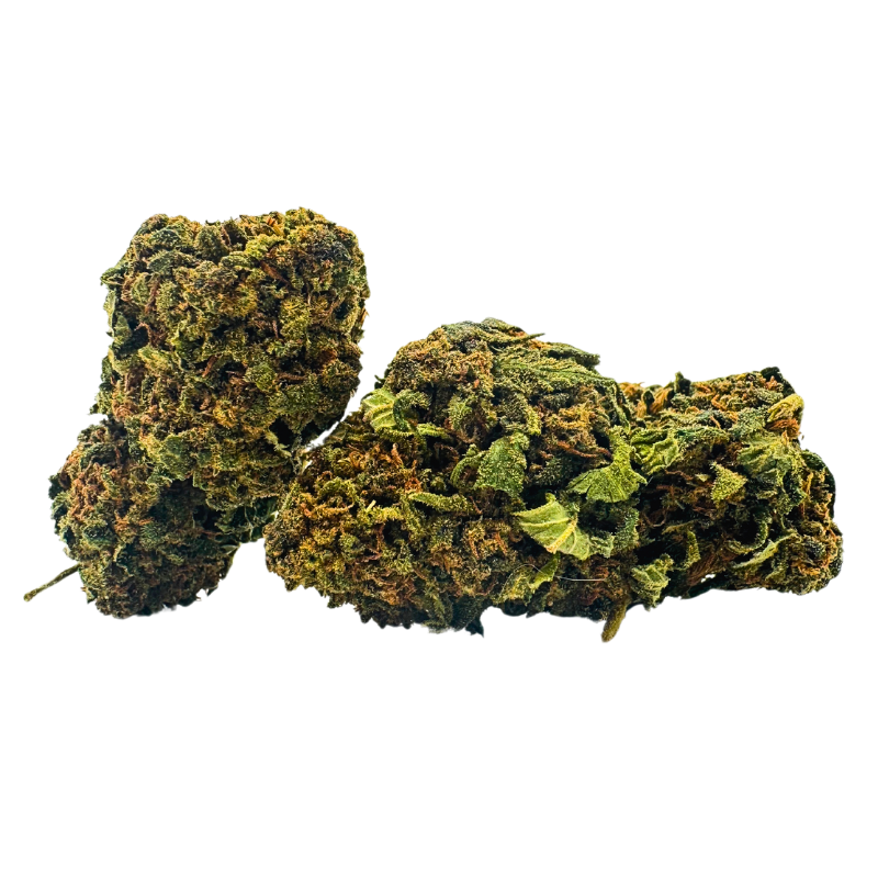 Tangerine small bud 10g