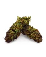 Trop's small bud 10g