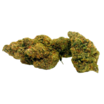 Plutonium small bud 10g