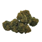 Xtrem gorilla