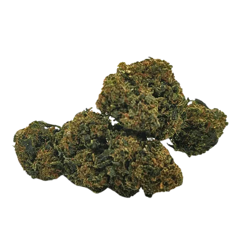 Xtrem gorilla