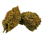 Florida OG