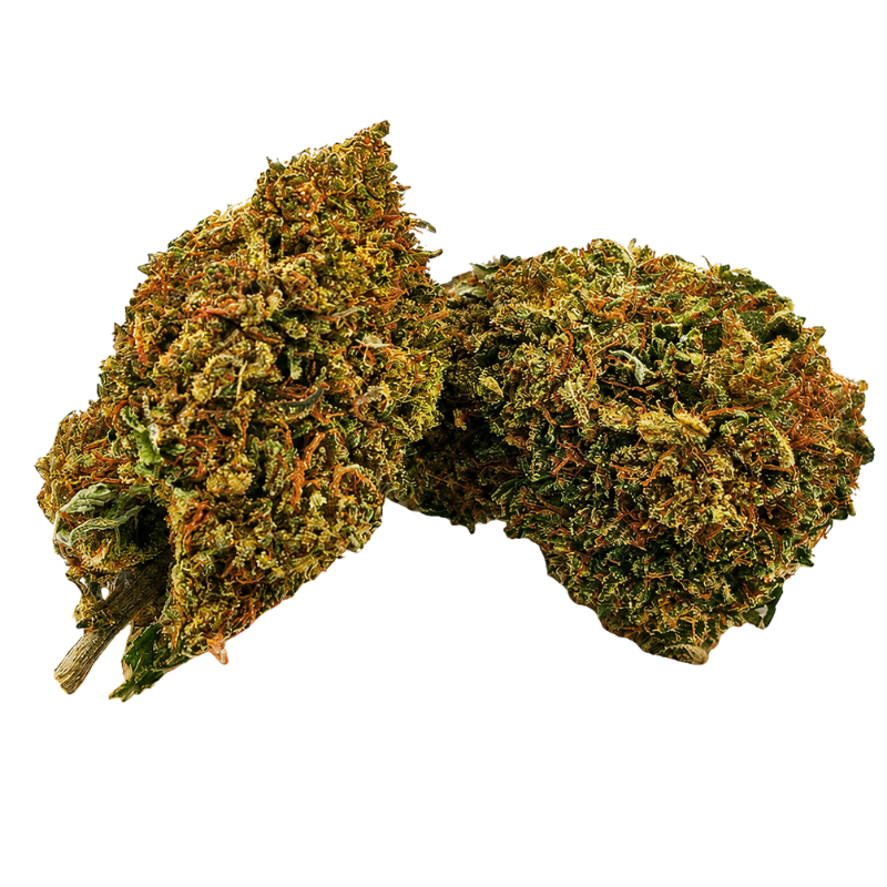 Florida OG fleur CBD premium